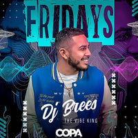COPA-night-club-palm-sping-DJ-BREES_FRIDAY-NIGHT-081823
